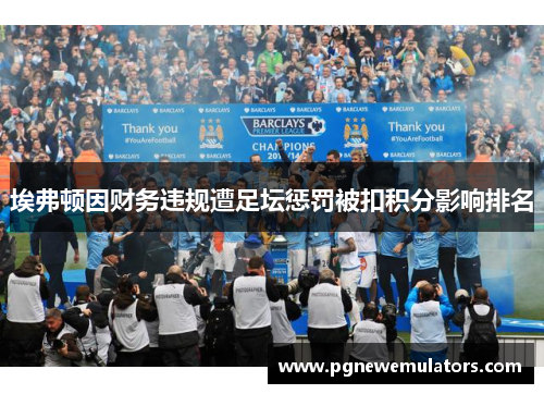 埃弗顿因财务违规遭足坛惩罚被扣积分影响排名 埃弗顿因财务违规遭足坛惩罚被扣积分影响排名