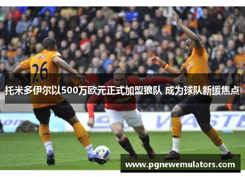 托米多伊尔以500万欧元正式加盟狼队 成为球队新援焦点