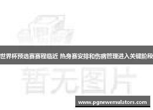 世界杯预选赛赛程临近 热身赛安排和伤病管理进入关键阶段